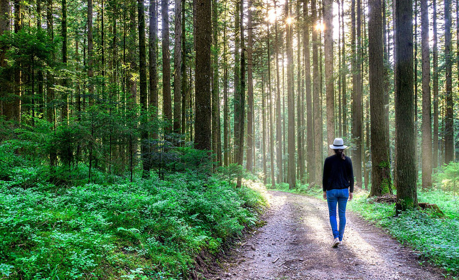 meditazione-camminata.jpg